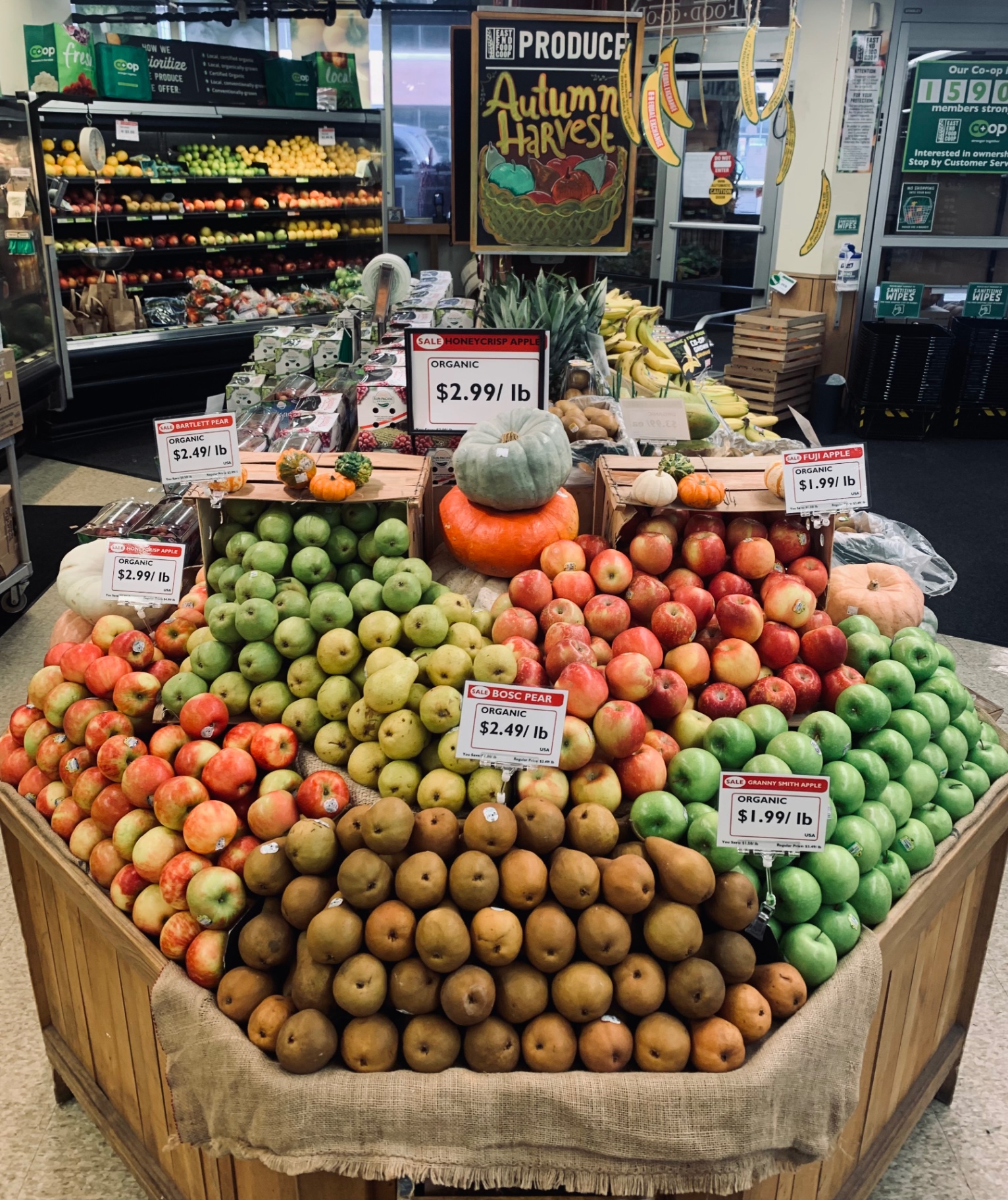 Autumn Harvest apple and pear display with pumpkins and gourds